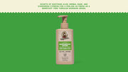 Cool Fresh Aloe Lotion - Soft Home Routine