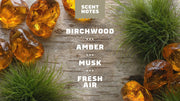 14 oz Birchwood Breeze Body Wash - Simple Start