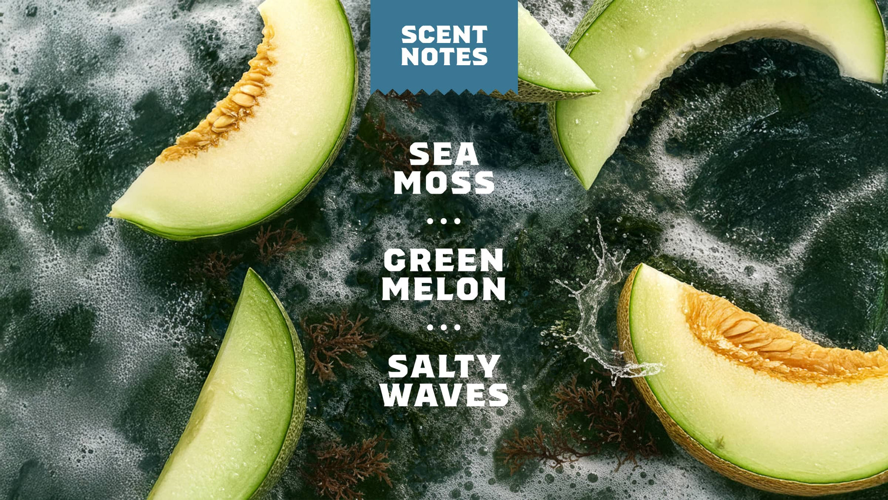 14 oz Coastal Mist Body Wash - Easy Bar