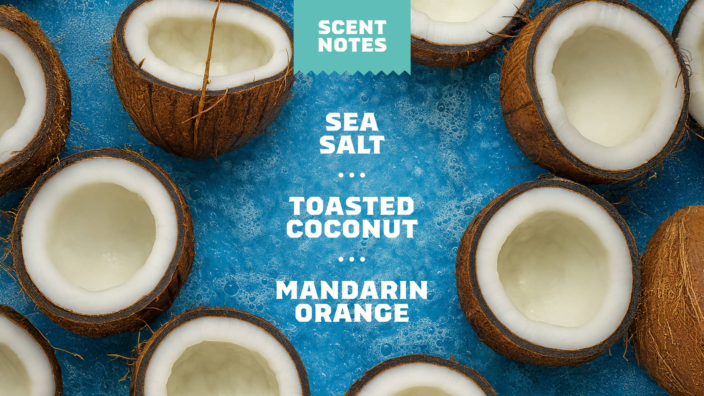 14 oz Coconut Castaway Body Wash - Bright Bar