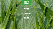 Cool Fresh Aloe Deodorant - Clean Outdoor Fresh