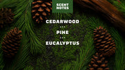 Pine Tar Invisible Glide Deodorant - Fresh Travel Routine