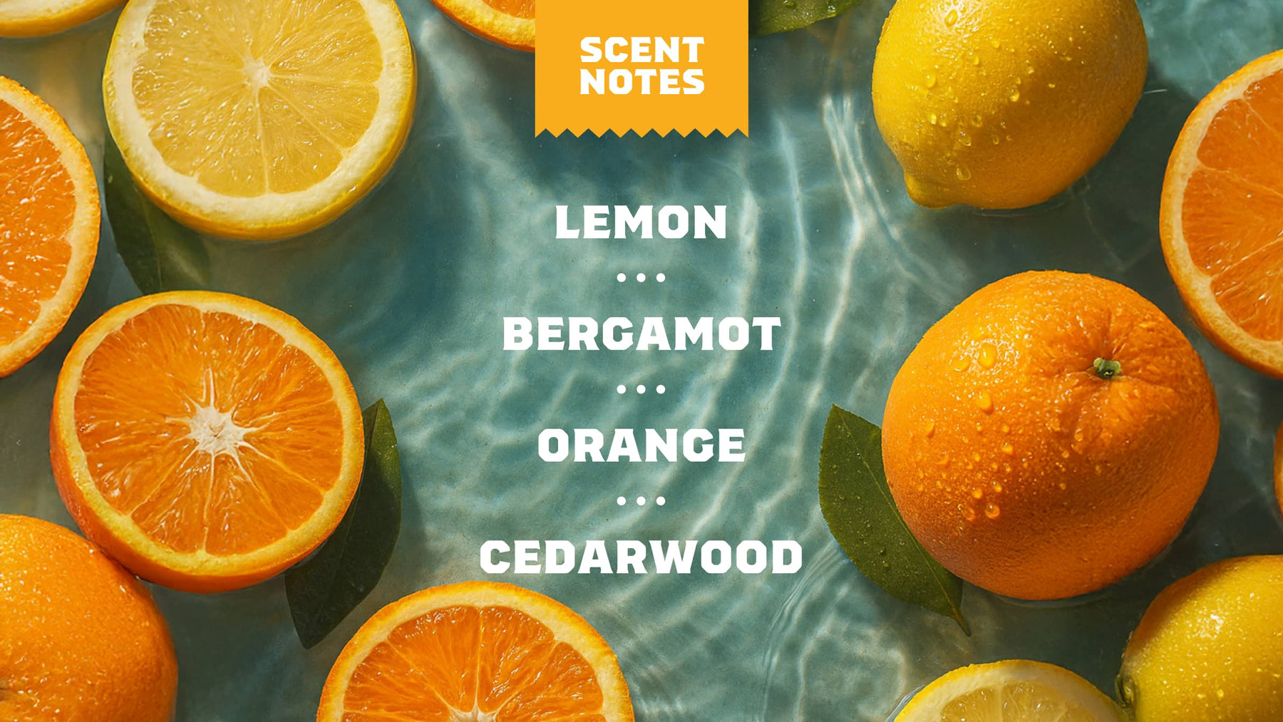 Summer Citrus - Shower Ready