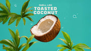 Coconut Castaway Shampoo - Full Smooth Finish