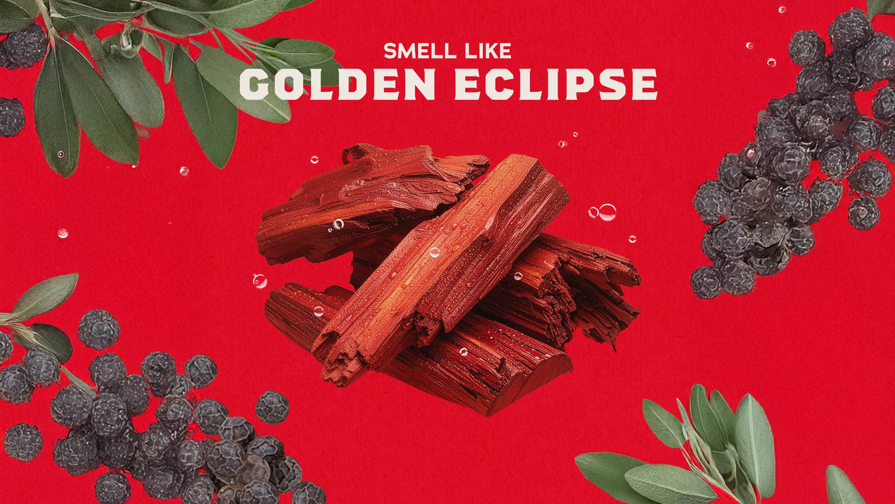 Sandalwood Summit Deodorant - Essential Fresh Glide