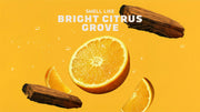 Summer Citrus Conditioner - Trail Blend